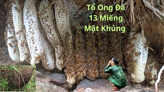 Lần Đầu Tiên Bắt Tổ Ong Khoá Thấp Nhất Gặp Tổ Ong Đá Khủng|SÁM ONG RỪNG