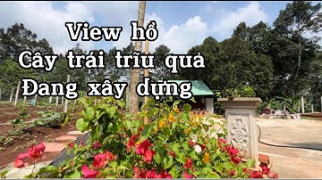 Bán đất vườn view hồ ở kim long BRVT cây trái trĩu quả công trình đang xây dựng dang dở
