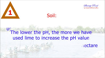 Managing pH of pond bottom soil [Shrimp Pond]