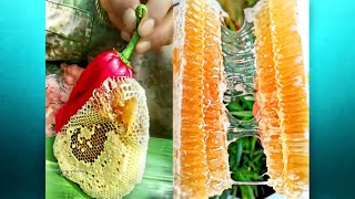 Oddly Satisfying Juicy Honeycomb Cutting & honey extracting Compilation  |  Make craving your tongue