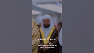 القارئ رعد الكردي وآلذين آمنو بالله ورسله #اكسبلور