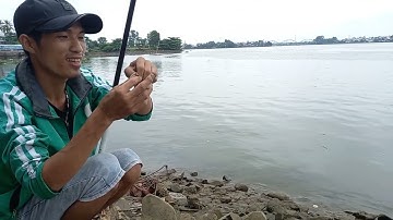 Địa điểm câu cá sông Đồng Nai