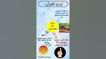 إن الله لا يستحي أن يضرب مثلا الآية 26 من سورة البقرة تدبر القرآن بالخرائط الذهنية  ( تقنية الذاكرة)