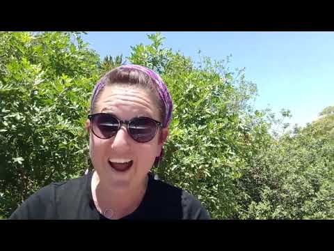 The Village Of SPECTACULAR Views Alonei Habashan 