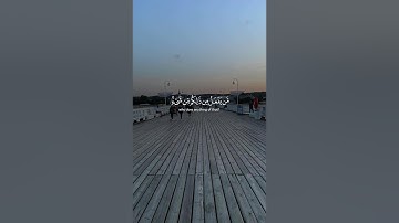 اللَّهُ الَّذِي خَلَقَكُمْ ثُمَّ رَزَقَكُمْ ثُمَّ يُمِيتُكُمْ ثُمَّ يُحْيِيكُمْ ۖ (40) | سورة الروم