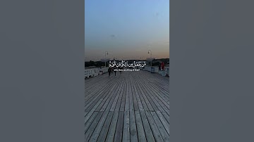 اللَّهُ الَّذِي خَلَقَكُمْ ثُمَّ رَزَقَكُمْ ثُمَّ يُمِيتُكُمْ ثُمَّ يُحْيِيكُمْ ۖ (40) | سورة الروم