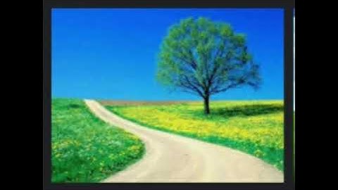 القارئ رعد محمد الكردي صوت عذب سورة الرحمن