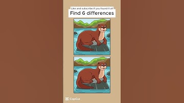 Only Geniuses Can Spot All 6 Differences – Try It Now! 🧠🔥