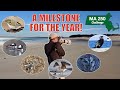 Episode 9 of my 250 bird challenge - Hitting a milestone and a snipe hunt!
