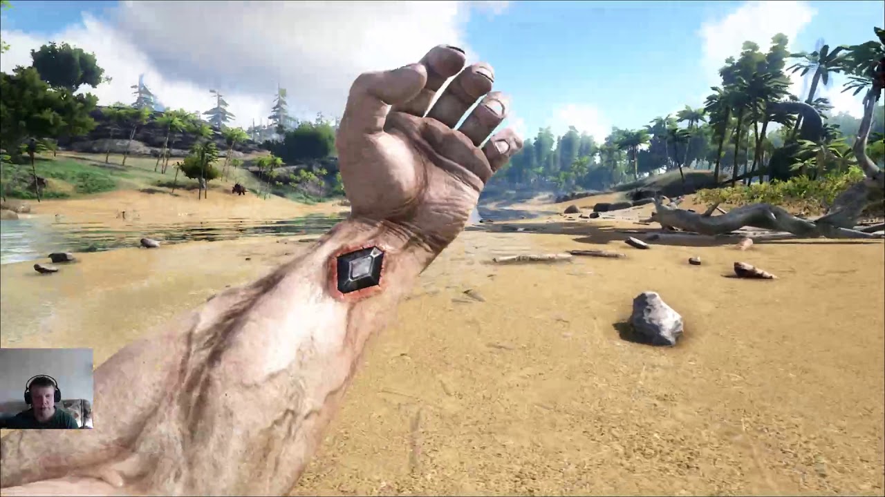 Ark survival evolved аккумулятор