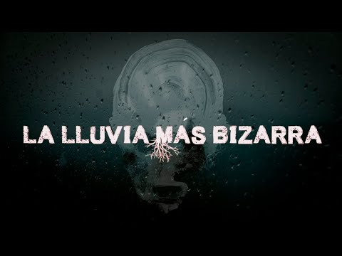 La Lluvia Bizarra | Dross