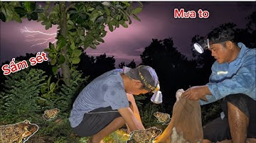 Bữa tối đầy may mắn chúng bầy ếch toàn hàng to @chautranlong4533