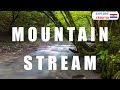 Mountain Stream in Croatia (Curak-Zeleni vir)