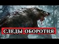 Страшная История - Следы ОБОРОТНЯ