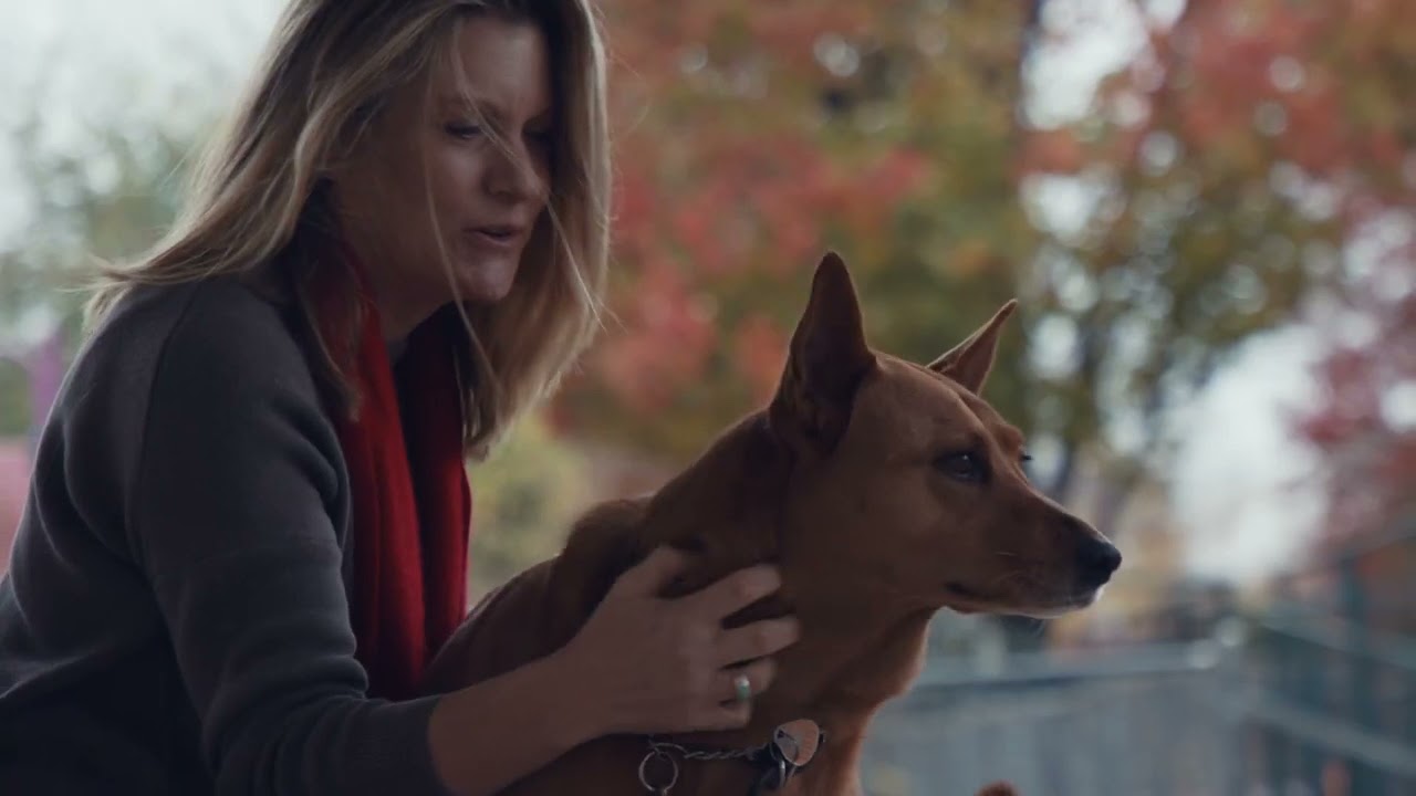 ⁣Rescue Story  Saving Companion Animals  Activism Trailer