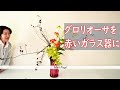 【グロリオーサのいけばな】_赤いガラス花器にいける_Sogetsu Ikebana