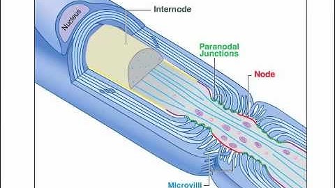 Node Assembly & Maintenance
