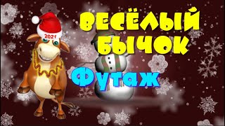Бычок веселый.🐮Футажи БЫК на фоне и без,хромакей.2021 год Быка.Chromakey Bull.С Новым 2021 годом Бычок веселый.🐮Футажи БЫК на фоне и без,хромакей.2021 год Быка.Chromakey Bull.С Новым 2021 годом