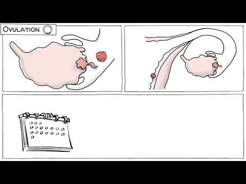 How Periods And Hormones Impact Mood Menstrual Cycle 
