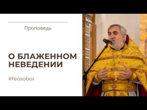 Призвание галилейских рыбаков. Проповедь иерея Владимира Коваль-Зайцева