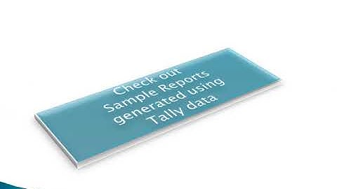 MIS Reporting Tool for Tally #reportingtoolfortally #mistoolfortally #bitoolfortally