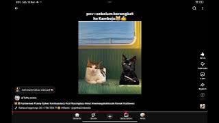 Memang 🐱🐱🐱 aneh tada otak