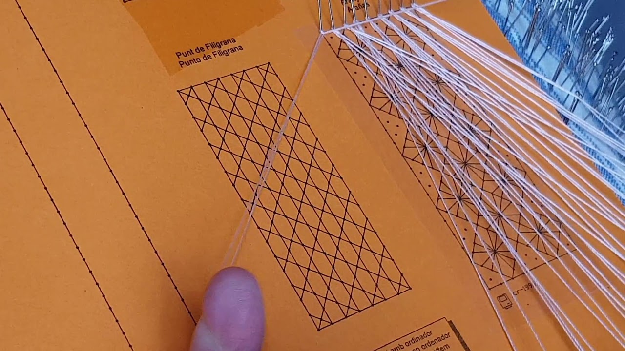 Empiece de la muestra de la araña