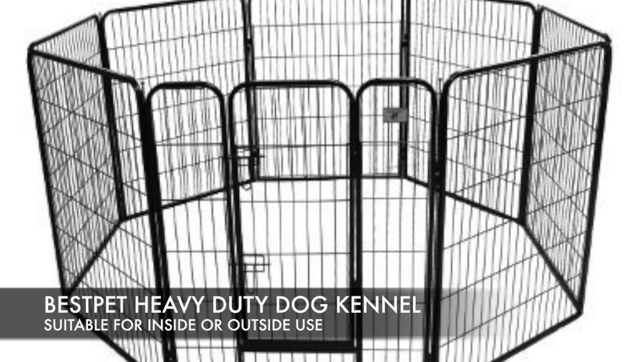 What are the best outdoor dog kennels for sale? YouTube