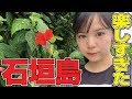 石垣島で食べたご飯と地元スーパー巡りと猫の島など♪