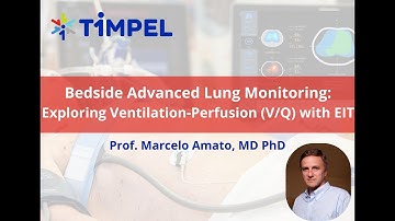 Exploring V/Q with Electrical Impedance Tomography - Prof Marcelo Amato