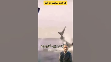 (إِنَّ الْإِنسَانَ لِرَبِّهِ لَكَنُودٌ.... )بصوت القارئ الشيخ خالدالجليل #قرآن_كريم #خالد_الجليل