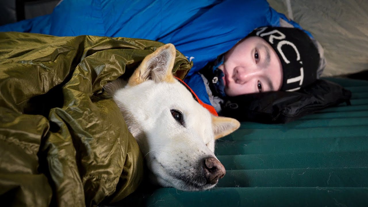 Поход в лес зимой -11℃ с 12-летней собакой | пеший туризм