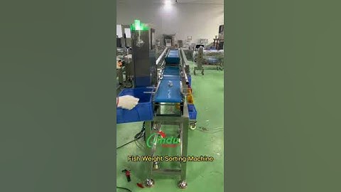 Get Accurate Fish Weights with this Revolutionary Sorting Machine in Minutes