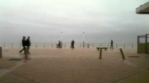 BLATNOVA - Midshipman & Mermaid