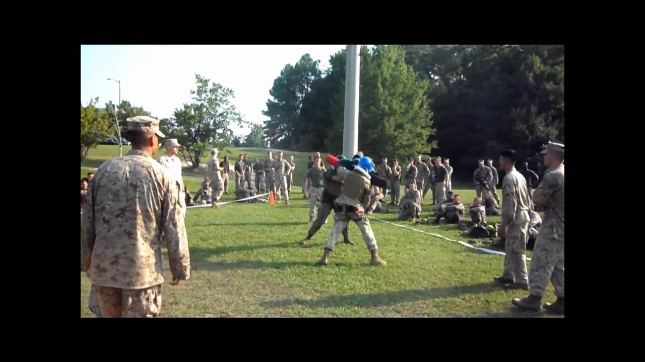 2nd lar PUGIL STICKS.