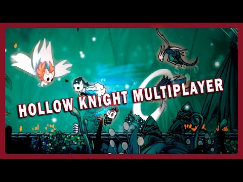 Видео: Безумный 112% Жучий флекс: Hollow knight Multiplayer