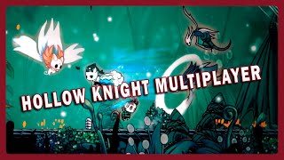 Безумный 112% Жучий флекс: Hollow knight Multiplayer