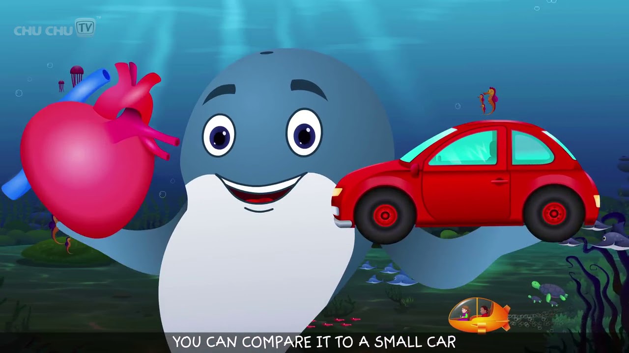 Blue Whale Nursery Rhyme ChuChuTV Sea World Animal Songs Nursery Rhymes ...