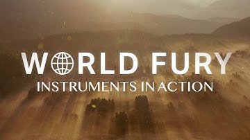 World Fury - INSTRUMENTS IN ACTION