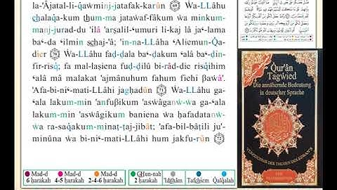 ختمة من مصحف التجويد باللغة الألمانية الصفحة رقم 274