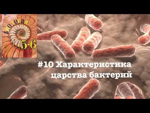 Биология 5 класс аудио параграф 10 «Характеристика царства бактерий»