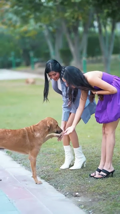 #youtube #creator #shorts #youtubeshorts #ytshorts #doglover #dogslove #poonampbisht