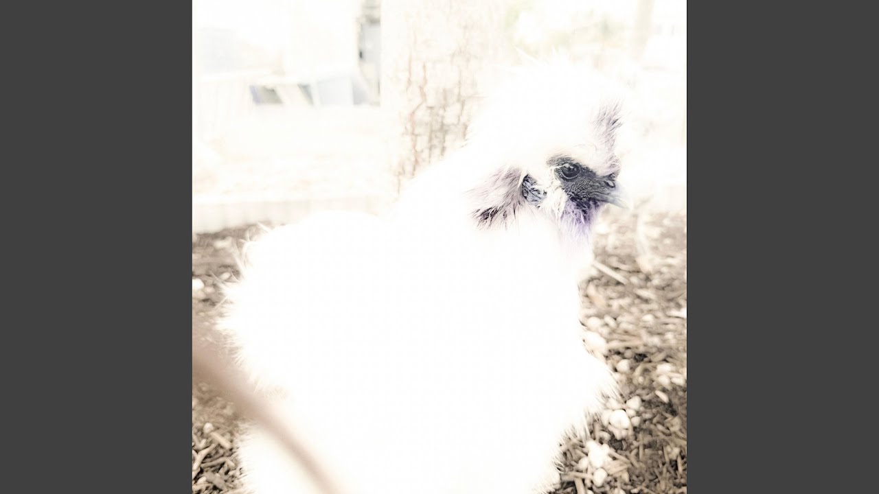 Watch again on YouTube Watch again on YouTube