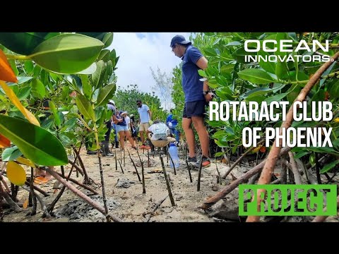 Rotaract Club of Phoenix (Mauritius) - Project - Ocean Innovators