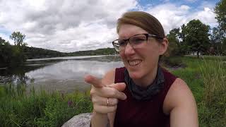 Field observations