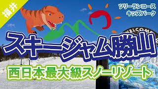 【北陸エリア】スキージャム勝山　西日本最大級スノーリゾート　最長滑走距離5800m　キッズパークやツリーランコースもあるビックゲレンデ！