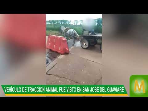 ¿Volvieron los vehículos de tracción animal en San José del Guaviare?