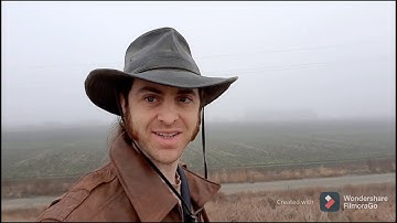Tule Fog