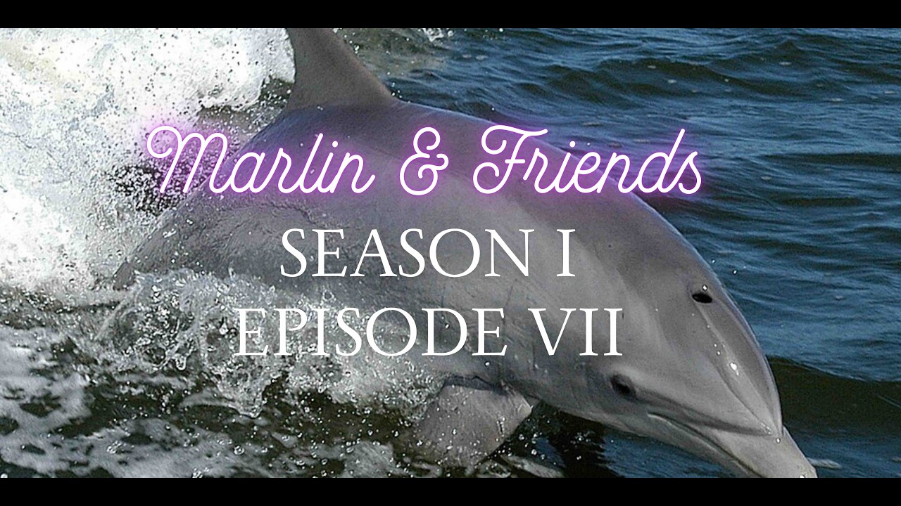 S1 E7 - Anna Learns To Sew