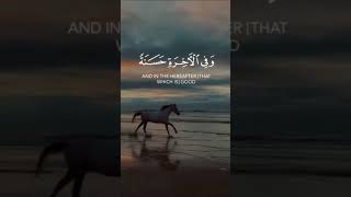 ربنا اتنا في الدنيا حسنة وفي الاخرة حسنة وقنا عذاب النار | عبدالرحمن مسعد ♥️